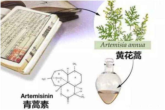 万象城app·平台（中国）官方下载,：向中医药看齐，与世界共享中医药文化(图1)